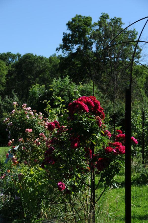 Le Champ Bagnolet Bed & Breakfast Voussac Exterior photo